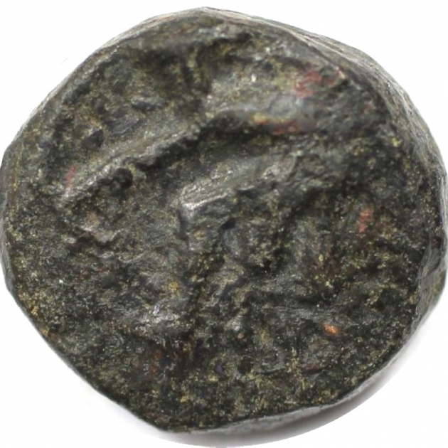 Halk 330 - 275 v. Chr revers