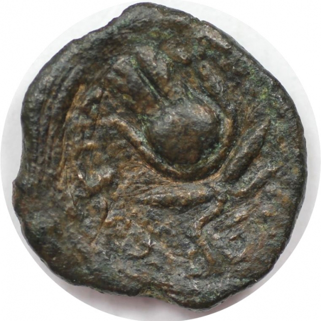 AE Dichalkon 116 - 106 v. Chr revers