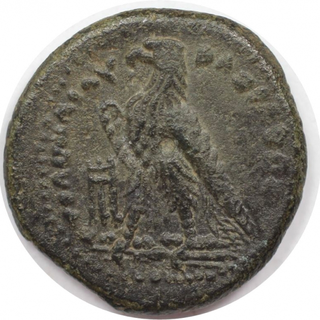 AE Dichalkon 246 - 222 v. Chr revers